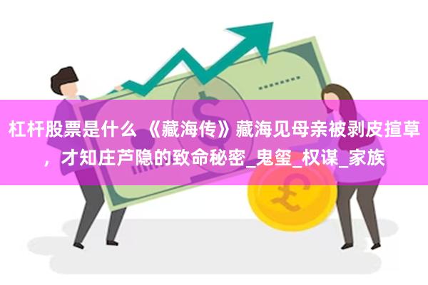 杠杆股票是什么 《藏海传》藏海见母亲被剥皮揎草，才知庄芦隐的致命秘密_鬼玺_权谋_家族