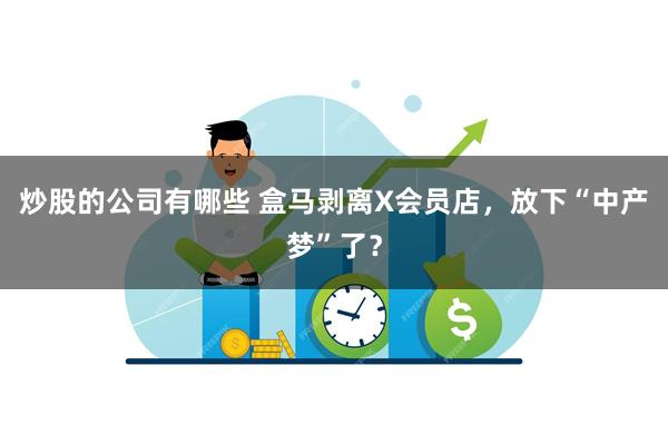 炒股的公司有哪些 盒马剥离X会员店，放下“中产梦”了？