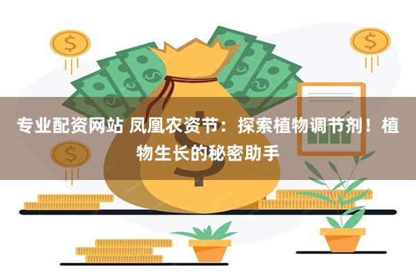 专业配资网站 凤凰农资节：探索植物调节剂！植物生长的秘密助手